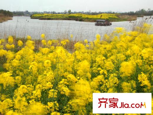 宇恒明月星城附近的下渚湖