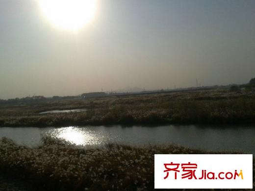 南北樂章瓶窯蘆葦蕩（2012年12月5日）