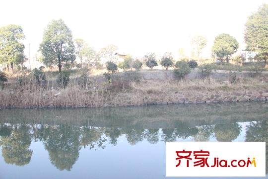 贊成檀府周邊公園