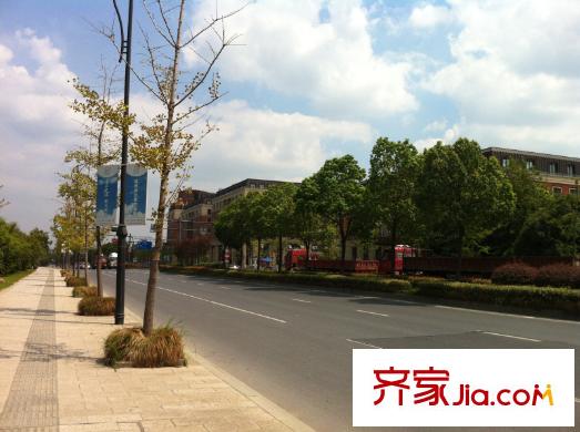 錢江?之江新天地周邊 街道