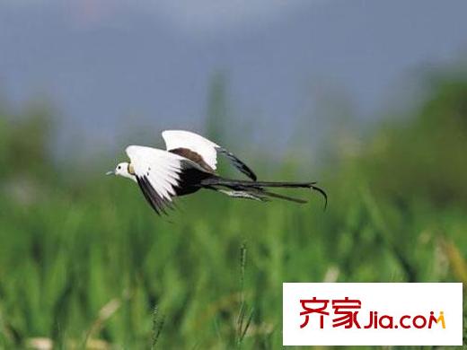 金都莫干山陽光田園地處德清的下渚湖