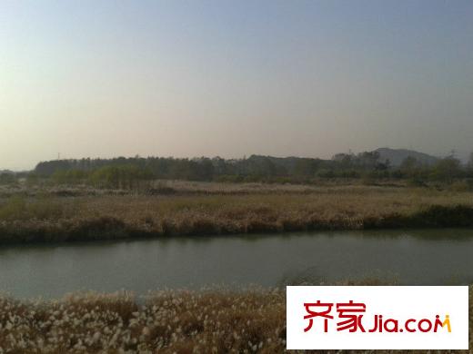 南北樂章瓶窯蘆葦蕩（2012年12月5日）