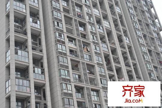 杭州碧桂園項目實景（2015-3-21）