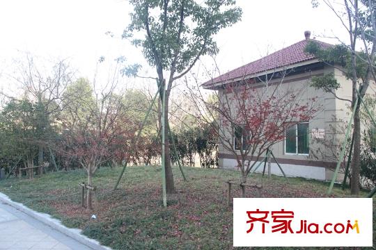 贊成檀府周邊公園