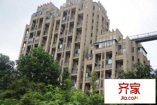 贊成樂(lè)山紅葉（2015-7-21）