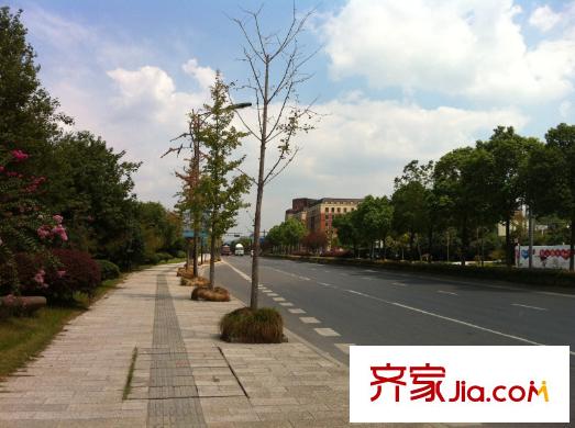 錢江?之江新天地周邊 街道