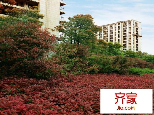 協(xié)安藍(lán)郡園區(qū)景色（2012.11）