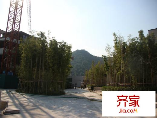 金都陽(yáng)光樾府（2014.3.11）
