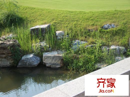 金都陽光樾府外景圖