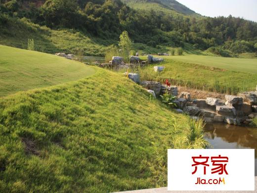金都陽光樾府外景圖