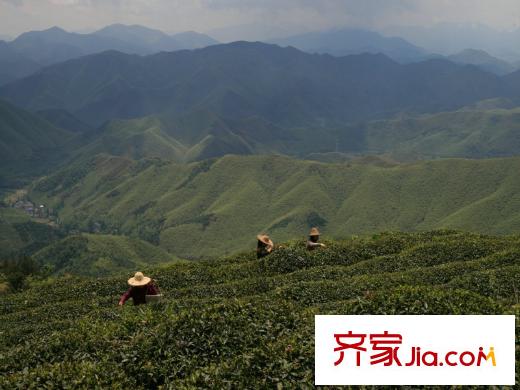 金都陽(yáng)光樾府周邊