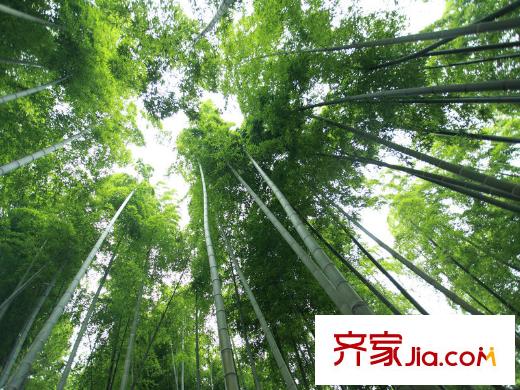 金都陽(yáng)光樾府周邊