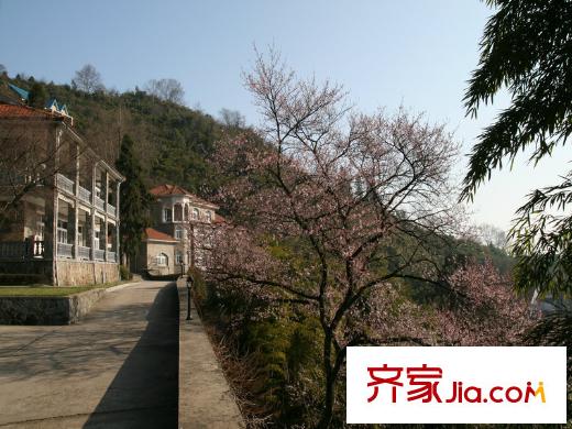 金都陽(yáng)光樾府周邊