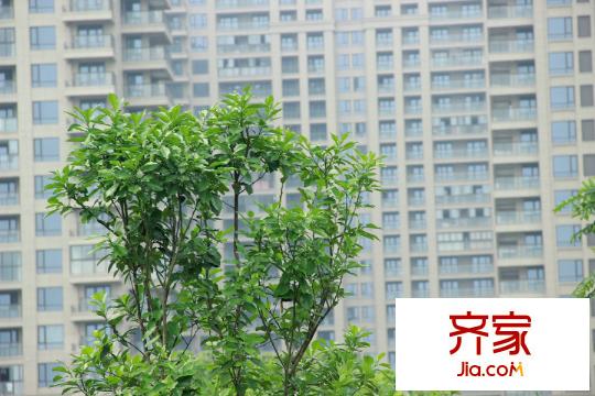 盈都江悅城