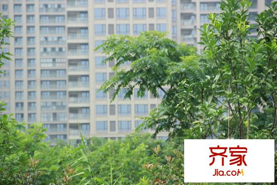 盈都江悅城項(xiàng)目實(shí)景（2015-7-21）