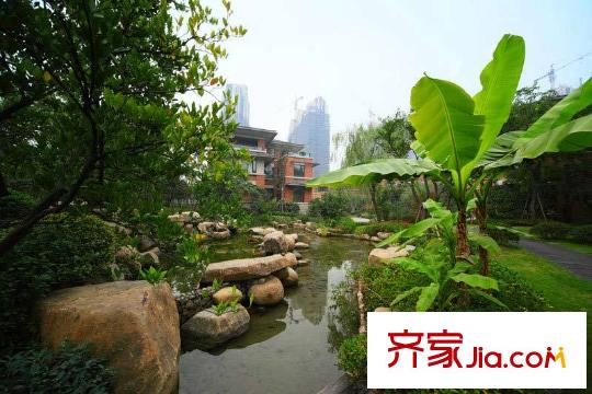 保利玫瑰灣附近的濕地公園