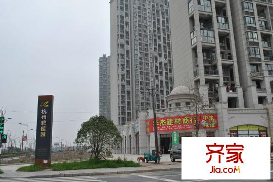 杭州碧桂園項目實景（2015-3-21）