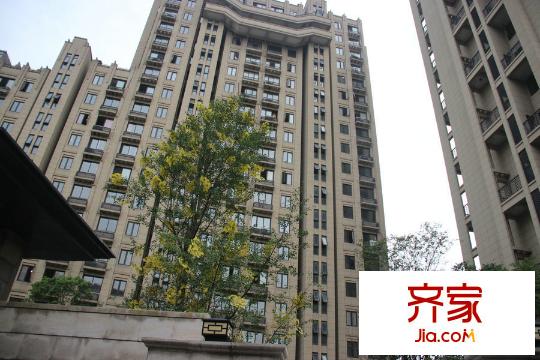 贊成樂(lè)山紅葉（2015-7-21）