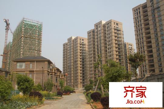 西溪海小海（2014.5）