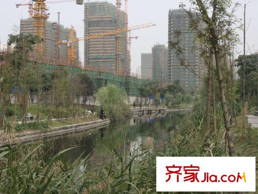 泰美國際大廈周邊的河