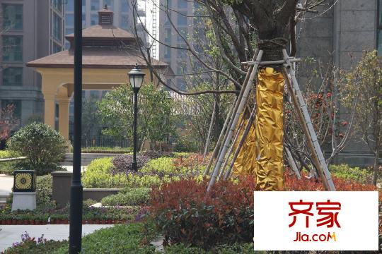 美好桂花溪園（2015.03.26）
