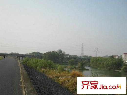 美好桂花溪園附近苕溪河蘆葦實(shí)景（2012.11）
