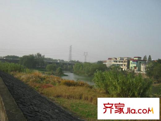 美好桂花溪園附近苕溪河蘆葦實(shí)景（2012.11）