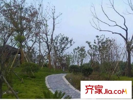 僑福一品高爾夫小區(qū)附近沿江公園建設(shè)圖片