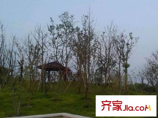 僑福一品高爾夫小區(qū)附近沿江公園建設(shè)圖片