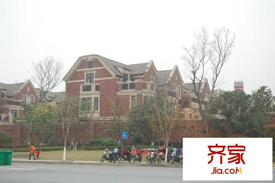 西溪玫瑰（2015.3.20）