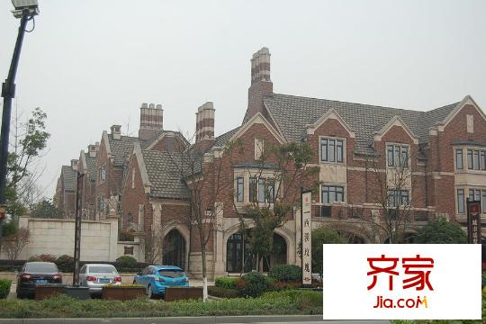 西溪玫瑰（2015.3.20）