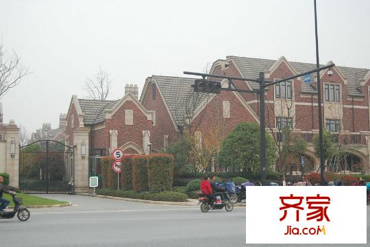 西溪玫瑰（2015.3.20）