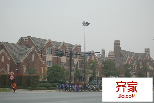 西溪玫瑰（2015.3.20）