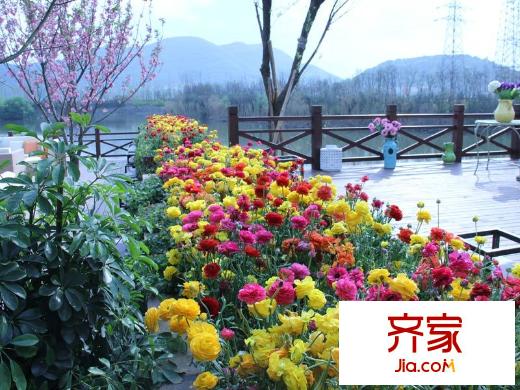 龍湖香醍溪岸園區(qū)實(shí)景（2012.4.10）