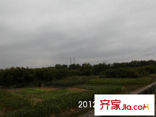 美好桂花溪園附近苕溪河蘆葦實(shí)景（2012.11）