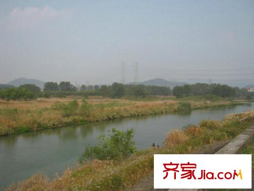 美好桂花溪園附近苕溪河蘆葦實(shí)景（2012.11）