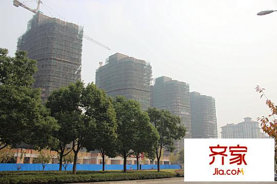 東廈東港花苑項(xiàng)目現(xiàn)場（2014.11.12）