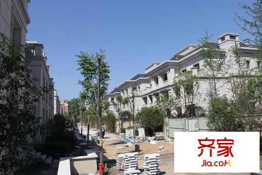 星運(yùn)麗園蘭逸
