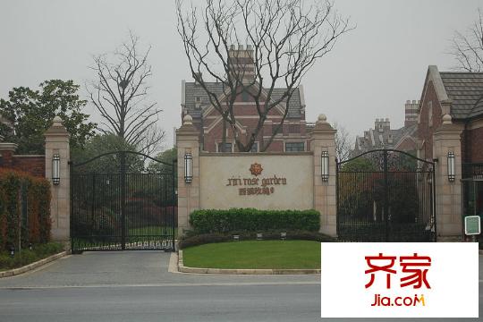 西溪玫瑰（2015.3.20）