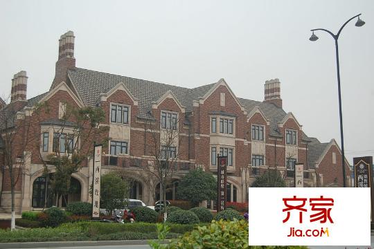 西溪玫瑰（2015.3.20）
