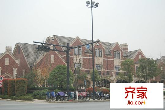 西溪玫瑰（2015.3.20）