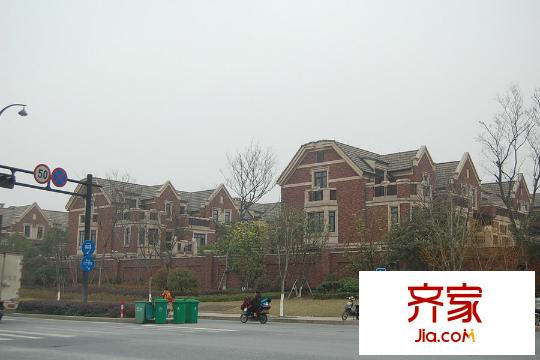 西溪玫瑰（2015.3.20）