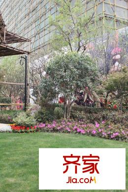 保億麗景山松果現(xiàn)場(chǎng)實(shí)景（2014.7）