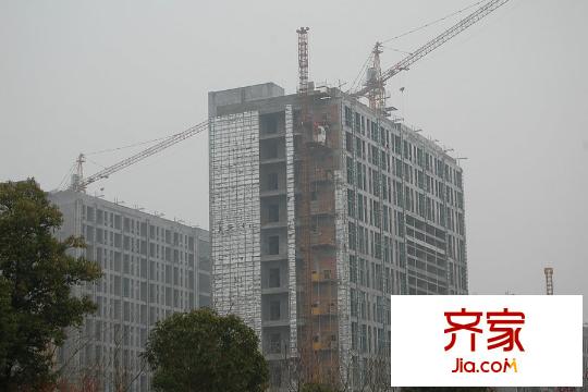西溪泊岸工程進(jìn)度實(shí)景（2015.3）