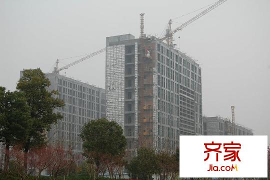 西溪泊岸工程進(jìn)度實(shí)景（2015.3）