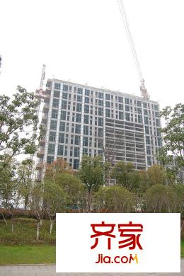西溪泊岸工程進(jìn)度實(shí)景（2015.3）