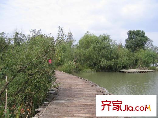 國恒西溪公館周邊的西溪濕地國家公園