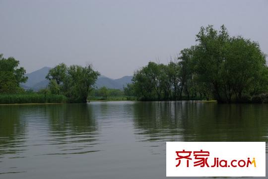 國恒西溪公館周邊的西溪國家濕地公園