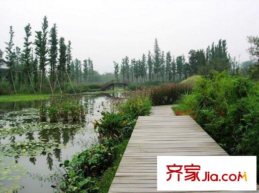 國恒西溪公館周邊的西溪國家濕地公園
