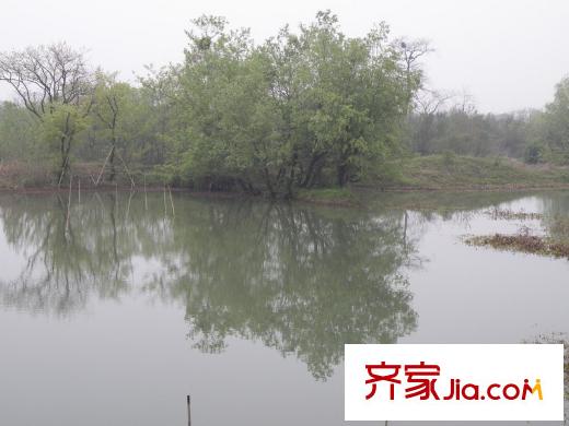 國恒西溪公館周邊的西溪國家濕地公園